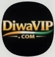Diwavip Rummy Launcher Icon